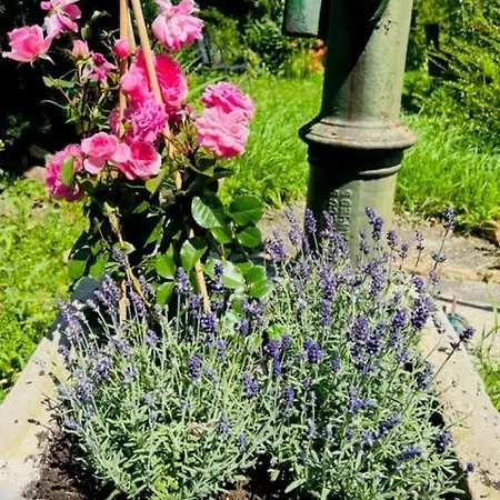 Entzueckende Kleine Vorstadtvilla Hotell Klosterneuburg
