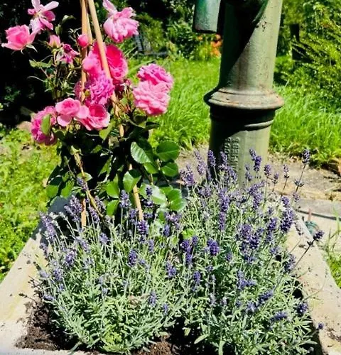 Entzueckende Kleine Vorstadtvilla Hotel Klosterneuburg